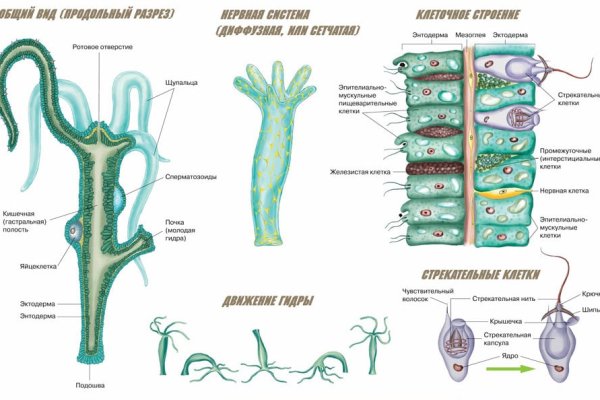 Kraken ссылка зеркало официальный