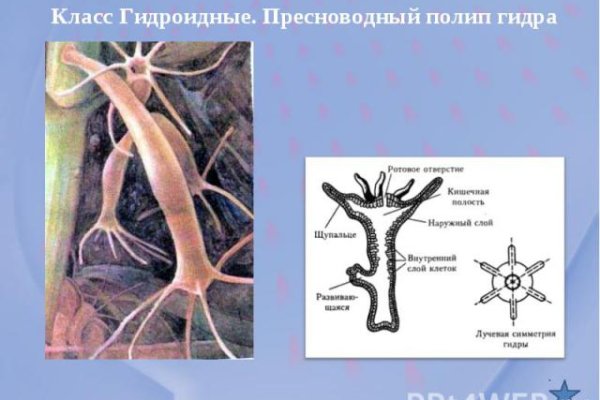 Кракен в обход блокировки