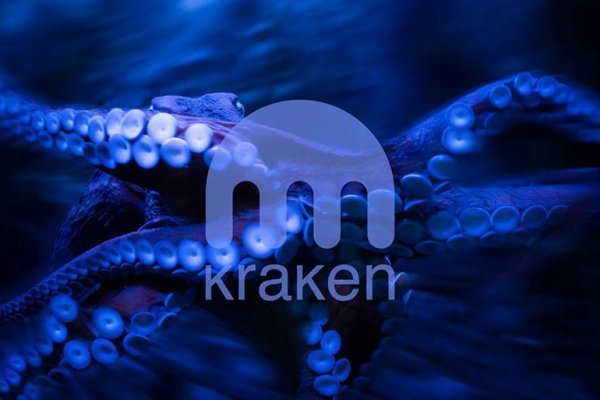 Kraken 2krnk biz