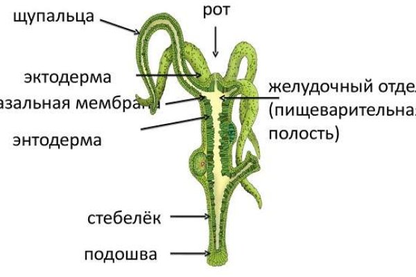 Аналог hydra